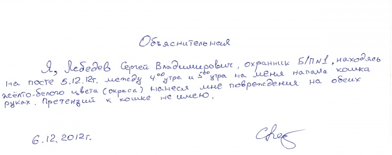 Вот как правильно писать объяснительные