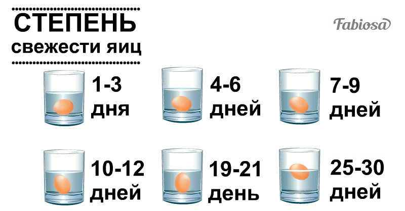 Вот что можно сказать о курином яйце по положению в стакане воды