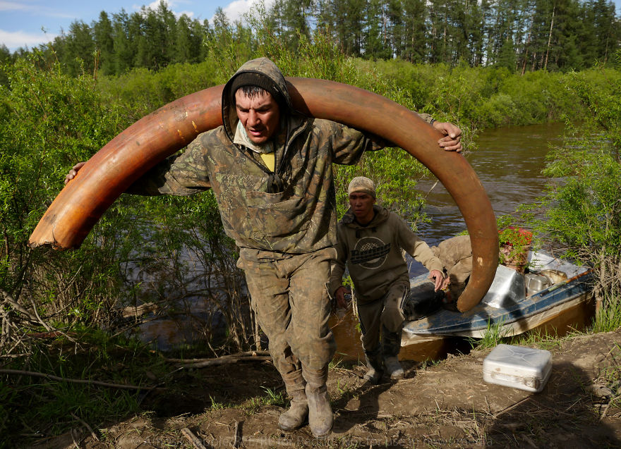 Я нашел в Сибири охотников за бивнями мамонтов! Вот как они пьют, богатеют и умирают