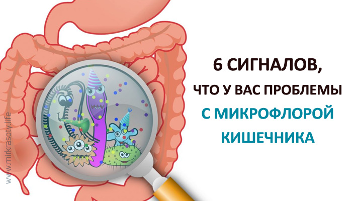 6 сигналов, что у вас проблемы с микрофлорой кишечника