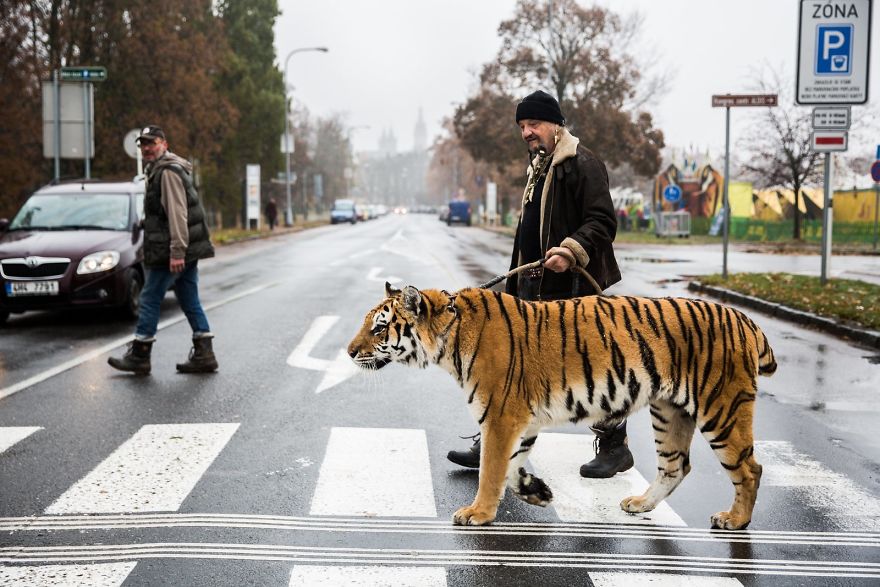 Я 10 лет фоткаю самых безумных людей на планете. Вот самые яркие кадры