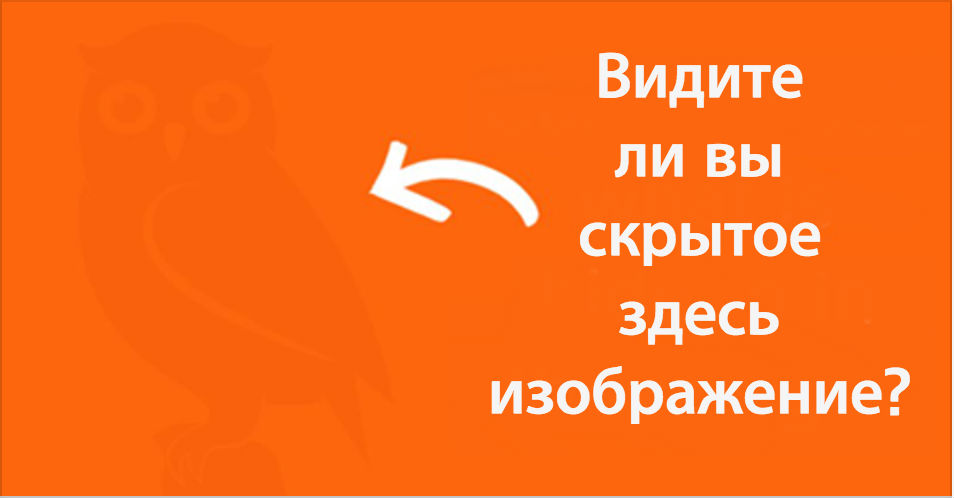 Только настоящие интроверты видят все скрытые здесь картинки!