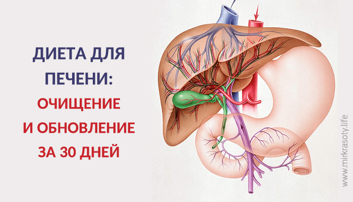 Диета для очищения и восстановления  печени