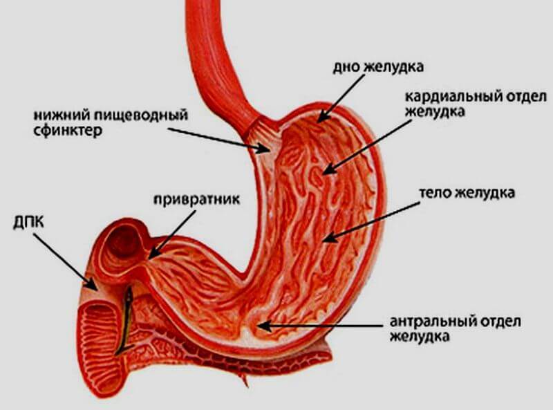 Как узнать, есть ли у вас язва желудка