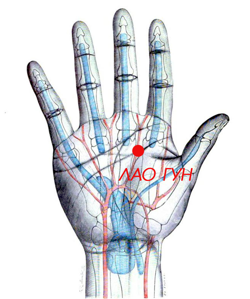 Точка ЛАО ГУН: одна из самых важных точек акупунтуры!
