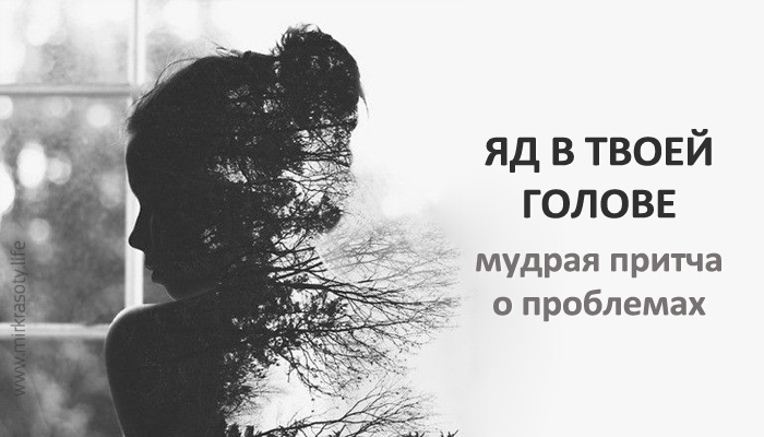 Яд в твоей голове