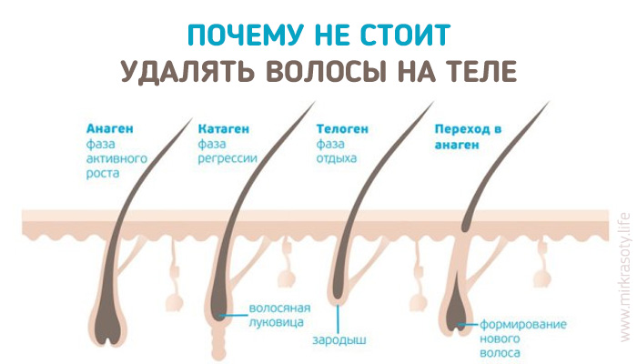 Почему не стоит удалять волосы на теле