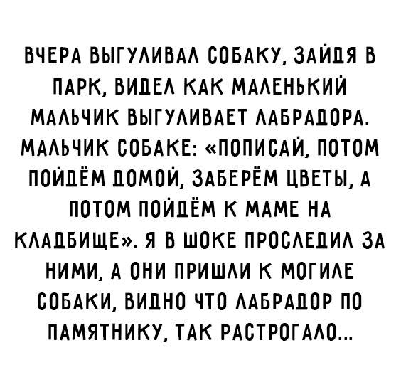 15 очень смешных историй из жизни. Давно так не хохотала!