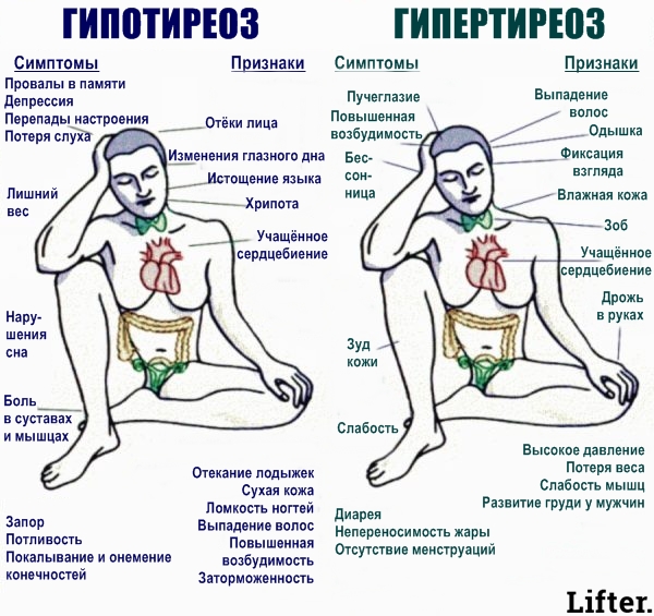 93% людей с проблемами со щитовидкой не знают об этом! Вот вся нужная информация! 