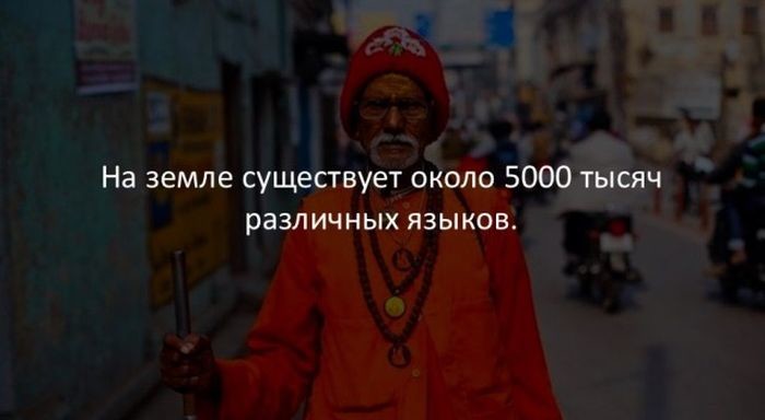 Интересные факты обо всем