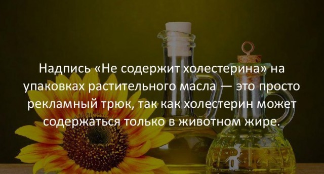 Занимательные факты