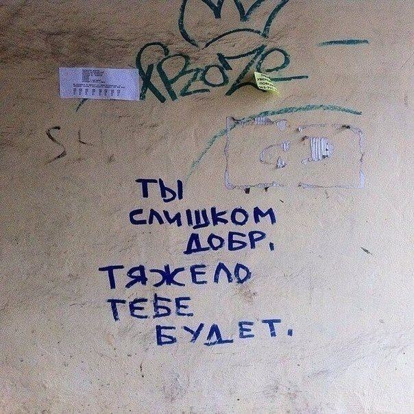 Еноты и не только.. Фото-приколы!