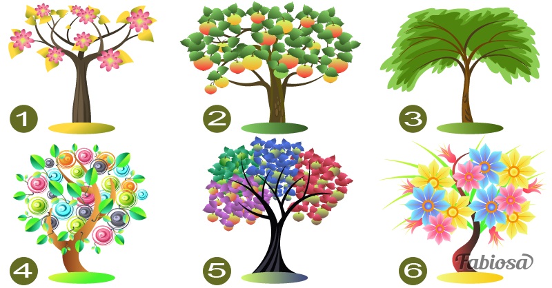 Выберите дерево, и мы расскажем, что скрывает ваша личность