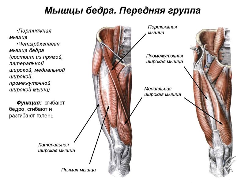 7 лучших упражнений для внешней поверхности бедра