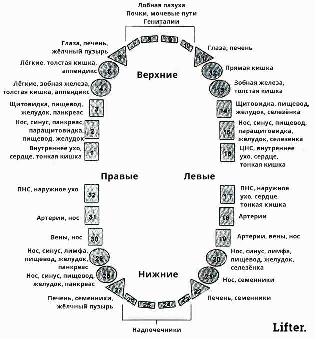 Вот о каких проблемах со здоровьем может рассказать зубная боль! 