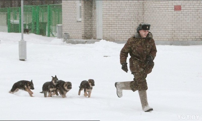 Не обманут, не продадут!!! Погранцы!!! граница на замке