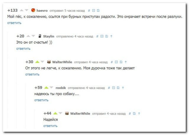 Смешные комментарии из социальных сетей