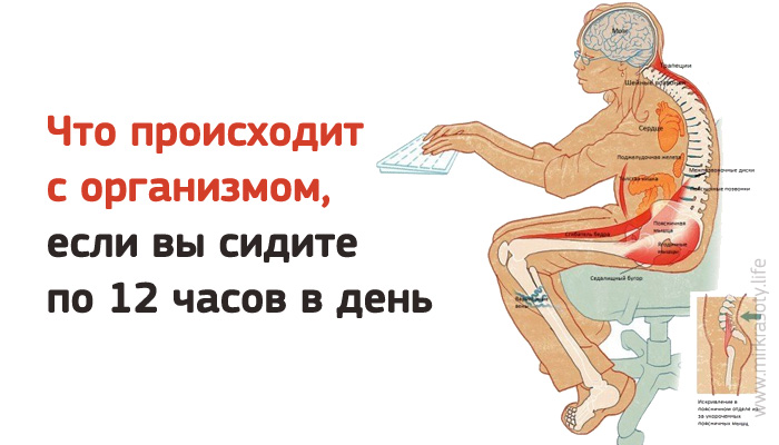 Что происходит с организмом, если вы сидите по 12 часов в день