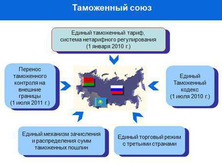 Международные организации: члены. Страны Таможенного союза: список