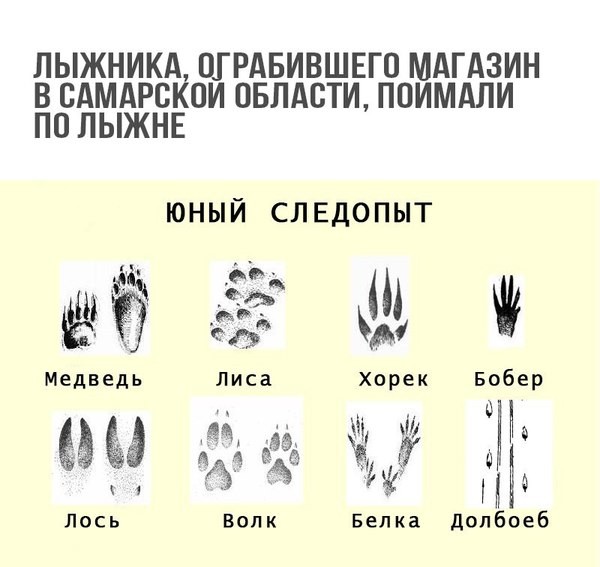 Смешные комментарии и высказывания из социальных сетей 