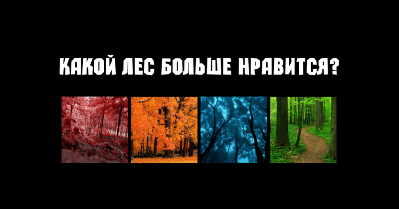 Один из самых точных психологических тестов на определение вашего внутреннего Я