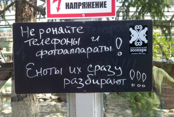 18 позитивных снимков, доказывающих, что зоопарке может быть очень весело