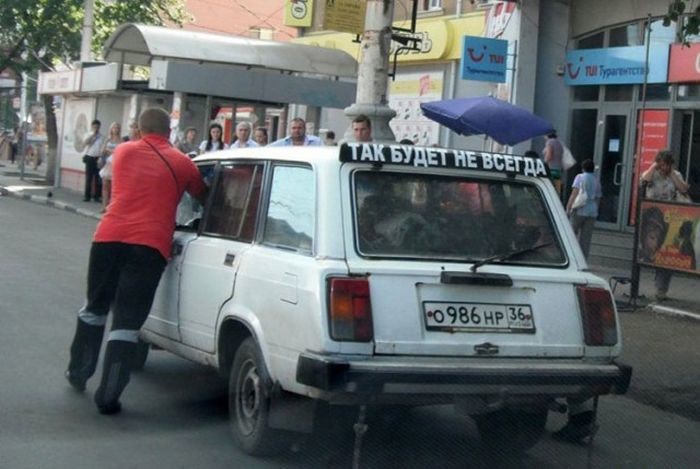 Прикольные картинки