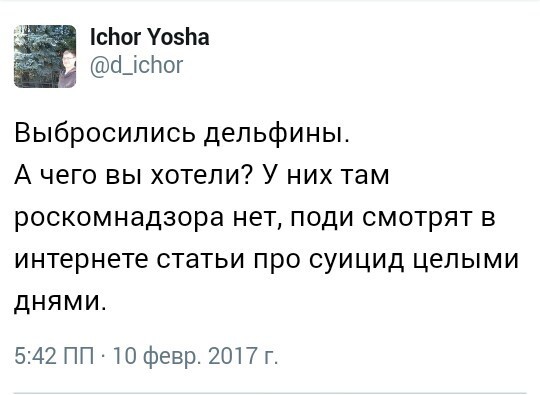 Смешные комментарии и высказывания из социальных сетей 