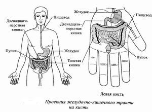 Су-джок-терапия: лечебные точки при несварении желудка