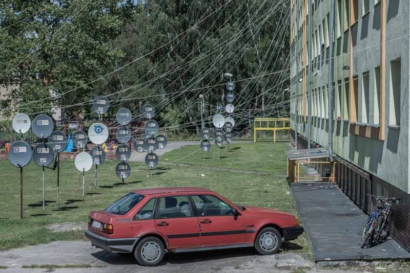  Если бы глупость облагалась налогом, то деньги некуда было бы девать