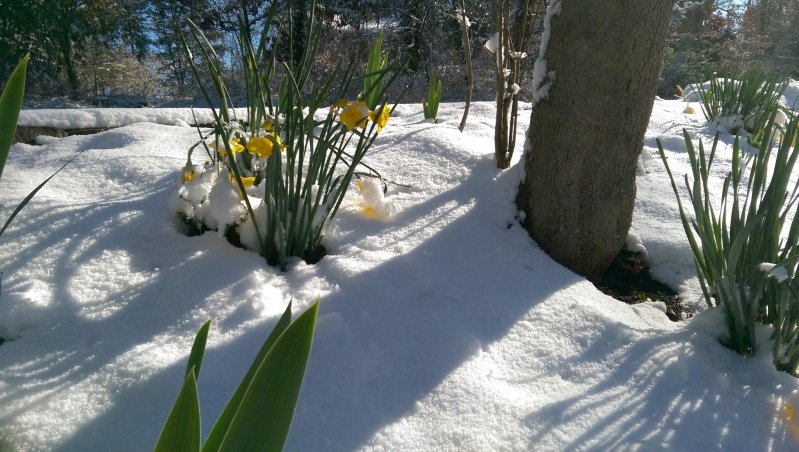 Фотоподборка за 13.03.2017