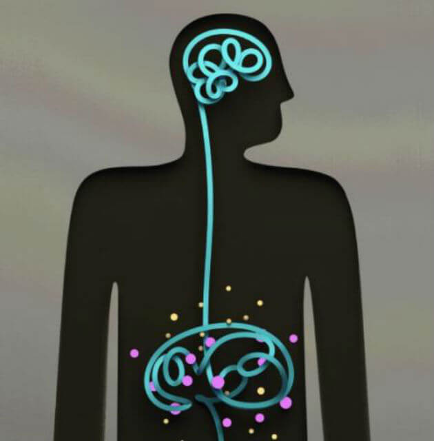 У вас депрессия? Проверьте кишечник!