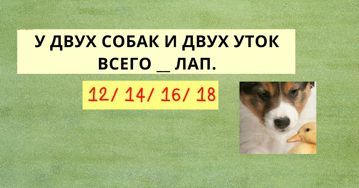 Только 3% женщин и 2% мужчин могут пройти этот хитрый тест на IQ! А вы сможете? 