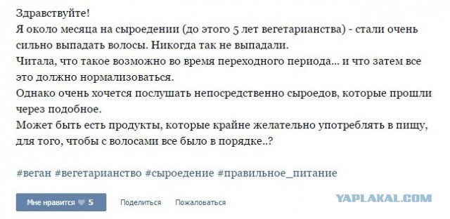 Действительно ли нужно перестать есть мясо? 10 опровергнутых законов вегетарианства