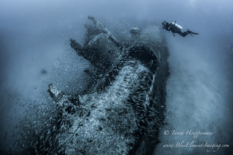 Самые впечатляющие работы конкурса подводной фотографии Underwater Photographer of the Year 2017