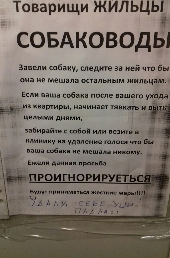 В нашем доме поселился 