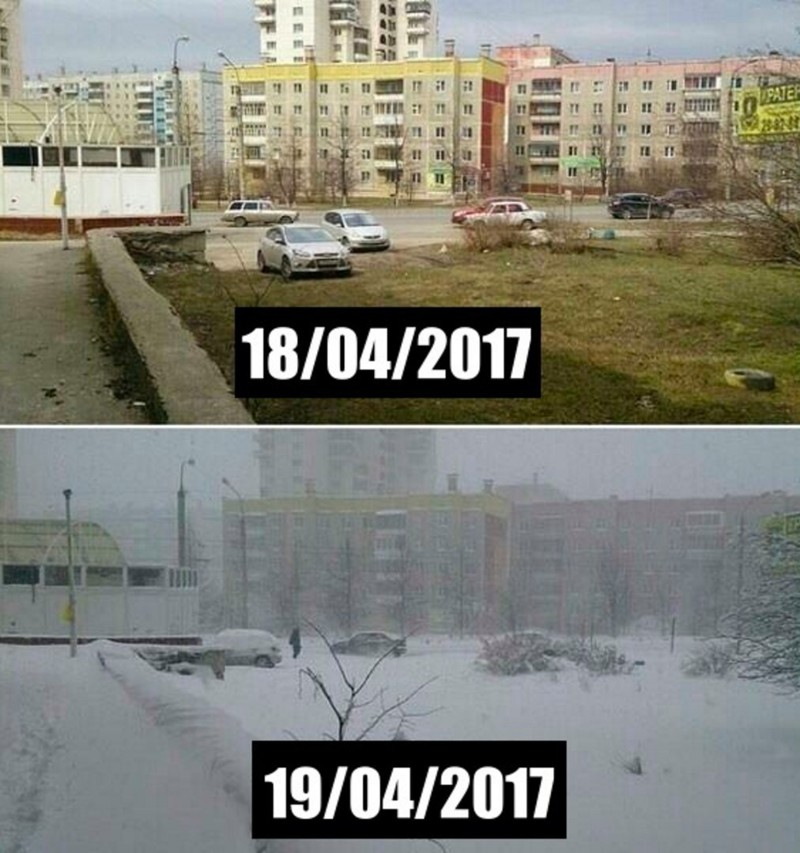 Смешные картинки с надписями