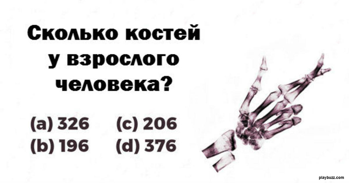 Только 3% мужчин могут пройти этот тест пройти этот тест по анатомии! 