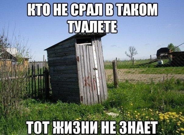 Смешные картинки с надписями