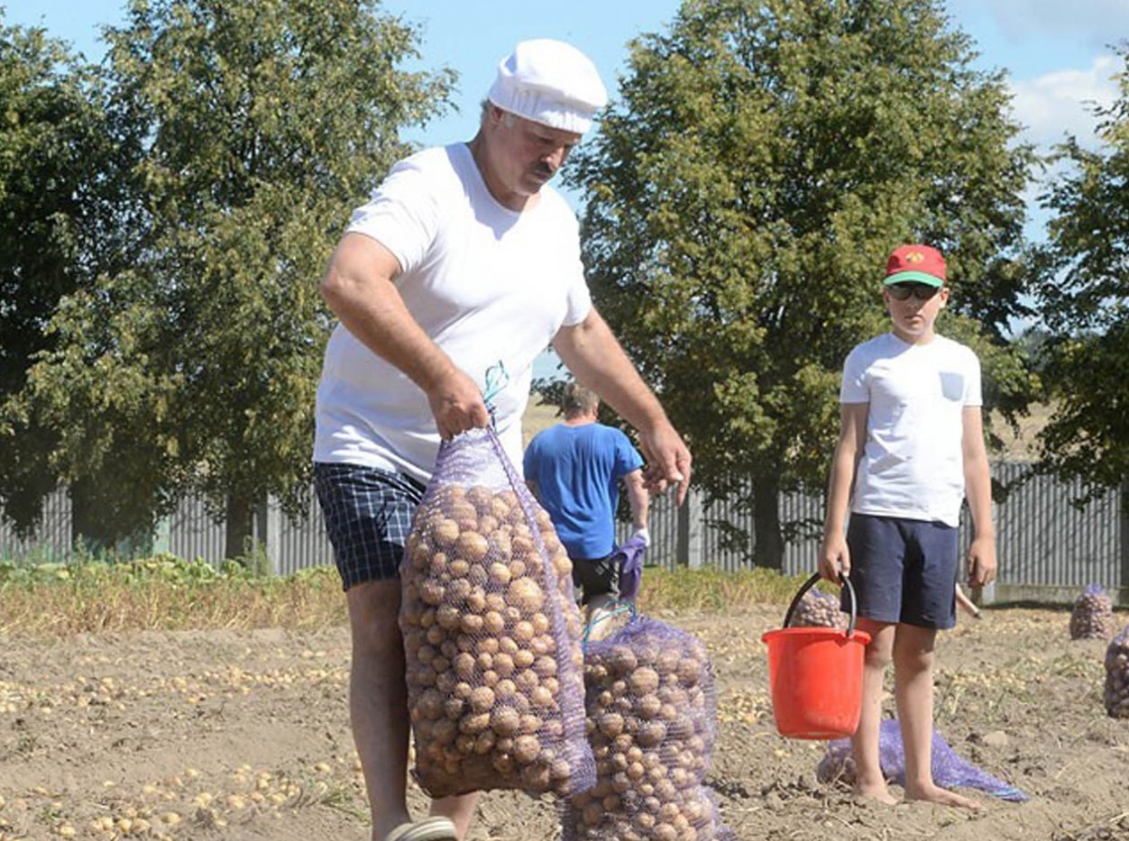 Чем занимаются вершители судеб в свободное время