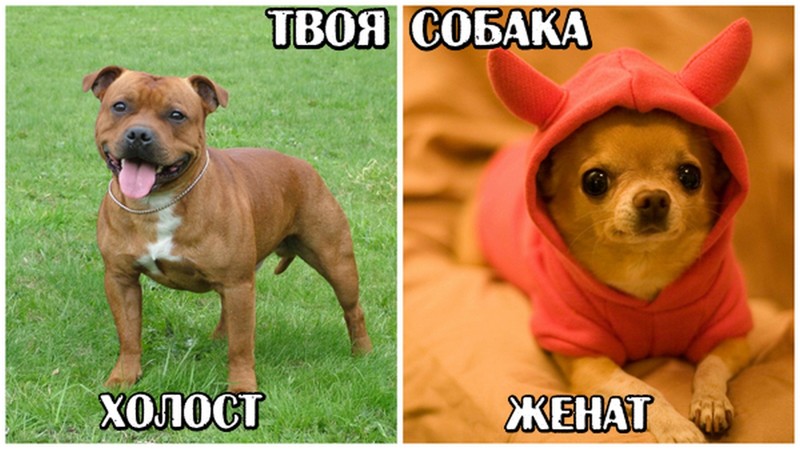 Так всё таки, что же лучше?