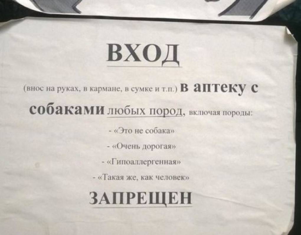 Забавнейшие таблички и надписи, которые создавали люди, знающие толк в жизни