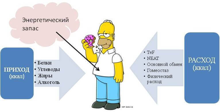 Испорченный метаболизм —не диагноз, это стиль жизни