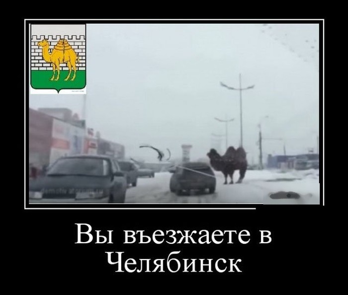 Демотиваторы