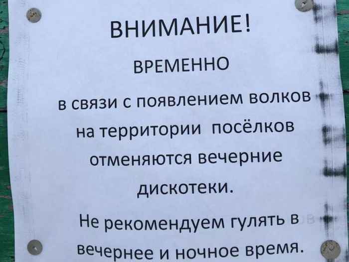 Приколы и прикольные картинки