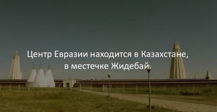 Интересные факты обо всем