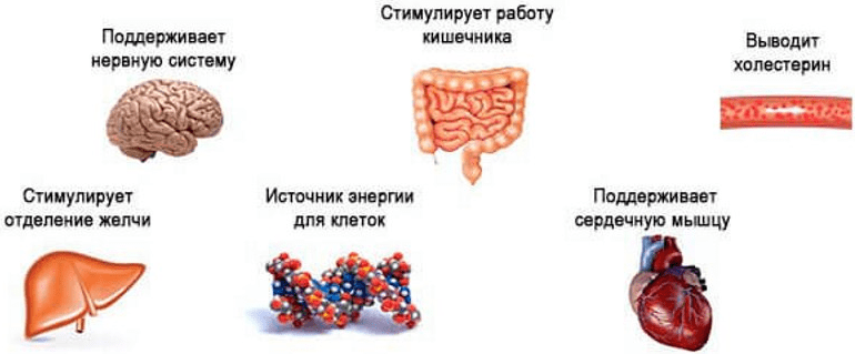 Магний: невидимый дефицит, который может навредить здоровью