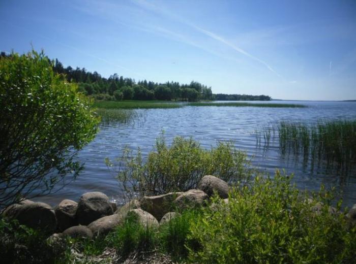 Рыбалка на Вилейском водохранилище