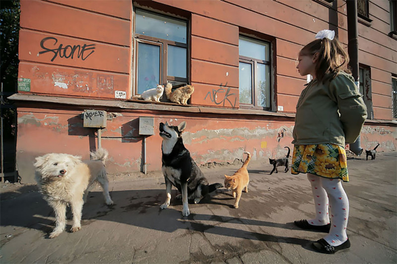 Алхимик Александр Петросян