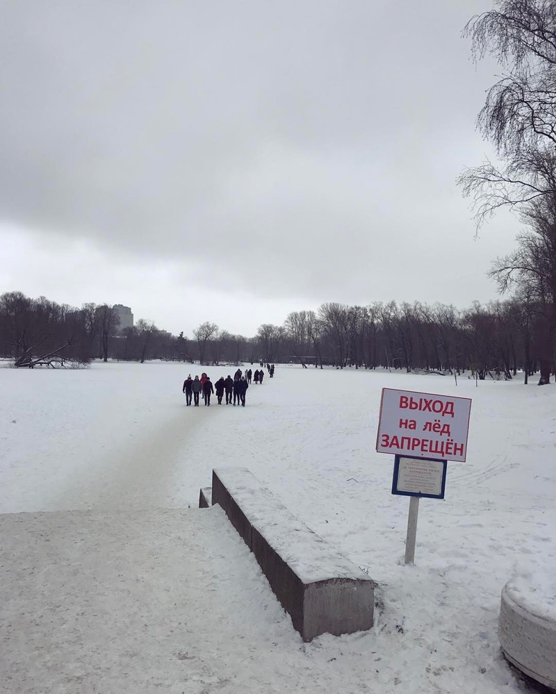 Сумасшедшие, которые пошли против системы